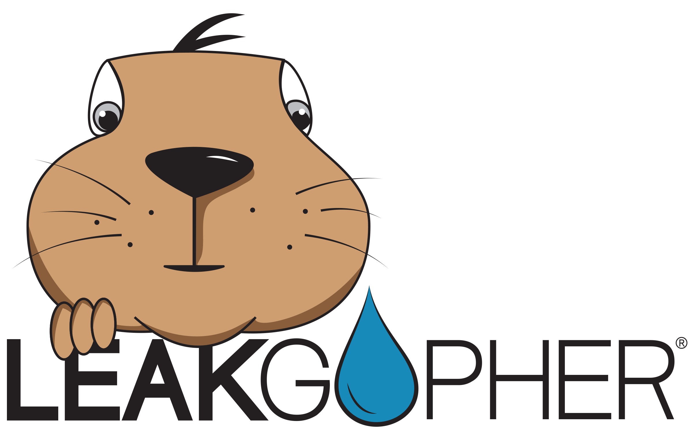 Leak Gopher